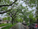 7944 81 Avenue, Edmonton, AB 