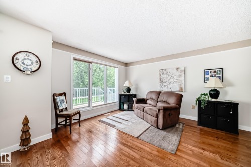 Living area featuring warm wood-finish flooring, light-toned walls with a contrasting accent band, and expansive windows - 50 303 Twin Brooks Drive Nw, Edmonton, AB 