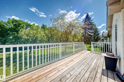 Expansive wood deck with white railings, offering outdoor space with tree coverage and a green lawn below - 50 303 Twin Brooks Drive Nw, Edmonton, AB 