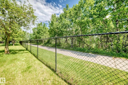Black chain-link fence bordering a paved pathway, surrounded by mature trees and green grass - 50 303 Twin Brooks Drive Nw, Edmonton, AB 