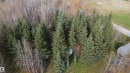 54104 Rr35, Rural Lac Ste. Anne County, AB 