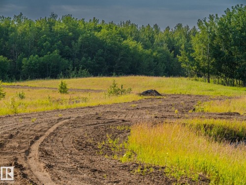 Nw 14-47-24-4, Rural Wetaskiwin County, AB 