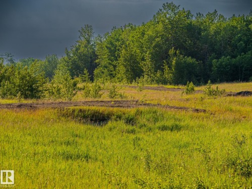 Nw 14-47-24-4, Rural Wetaskiwin County, AB 