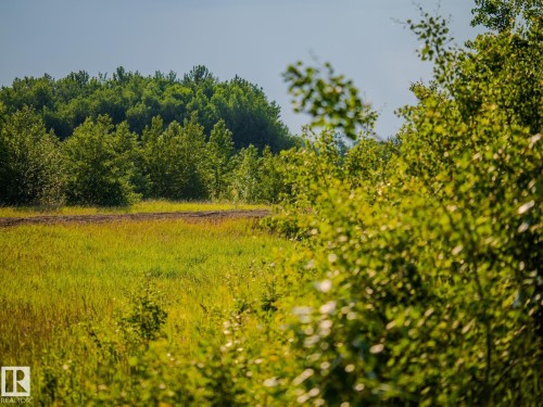 Nw 14-47-24-4, Rural Wetaskiwin County, AB 