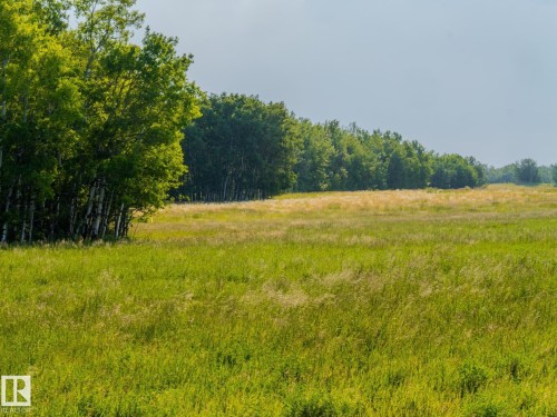 Nw 14-47-24-4, Rural Wetaskiwin County, AB 