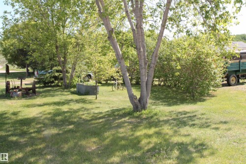 Expansive yard featuring mature trees, established shrubs. - 125 56524 Rng Rd 52A, Lindbergh, AB 