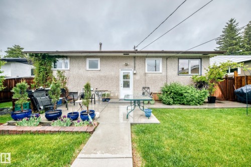 Rear exterior featuring a concrete patio, a grass lawn, and mature perimeter fencing - 8006 159 Street, Edmonton, AB 