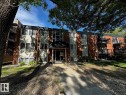 203 10415 93 Street, Edmonton, AB 