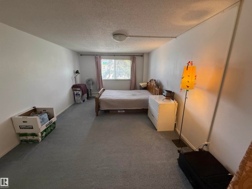 Spacious room featuring light gray carpet, white walls, and a textured white ceiling - 225 4404 122 Street, Edmonton, AB 