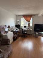 Wood-finish flooring throughout, complemented by a large window with natural light, and smooth white walls - 