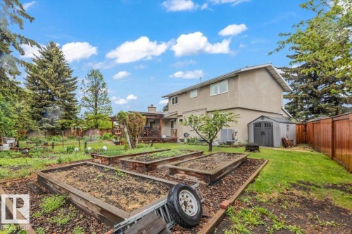 Expansive backyard featuring multiple raised garden beds, a storage shed, and mature trees - 6720 29 Avenue, Edmonton, AB 