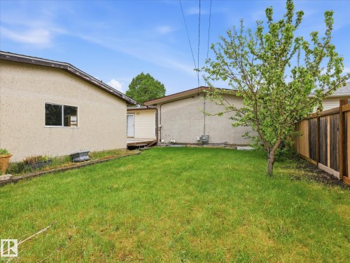 Expansive backyard featuring a manicured lawn, a mature fruit tree, and a wood privacy fence - 13316 136 Avenue, Edmonton, AB 