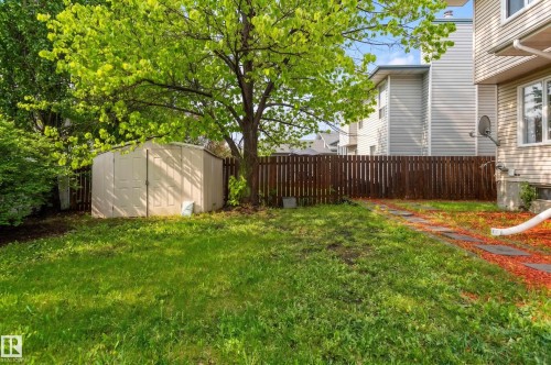 Spacious backyard area featuring a brown privacy fence, a mature deciduous tree, and a light-colored storage shed - 16811 91 Street, Edmonton, AB 