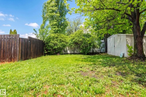 Expansive yard space featuring a wooden privacy fence, mature trees, a storage shed, and established perimeter shrubbery - 16811 91 Street, Edmonton, AB 