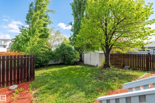 Fenced backyard featuring a manicured lawn, established trees, and a storage shed - 16811 91 Street, Edmonton, AB 