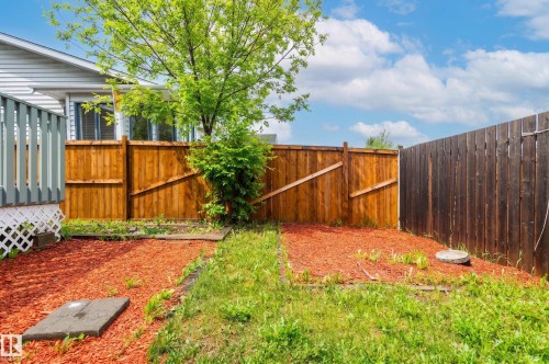 Private backyard featuring a new wood fence, an established tree, and a red mulch landscaping bed - 16811 91 Street, Edmonton, AB 