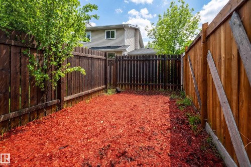 Enclosed backyard space featuring wood panel fencing, a wood gate, and red mulch ground covering - 16811 91 Street, Edmonton, AB 
