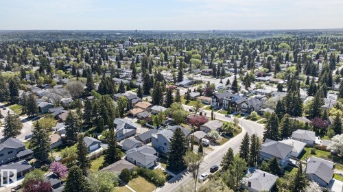 Expansive residential area featuring a high density of mature trees and established homes - 8809 148 Street, Edmonton, AB - Outdoor With View