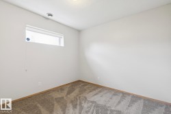 Neutral wall tones complement the patterned carpet flooring - 