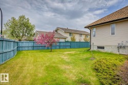 Expansive green lawn with a vibrant pink flowering tree, bordered by a blue wooden fence - 