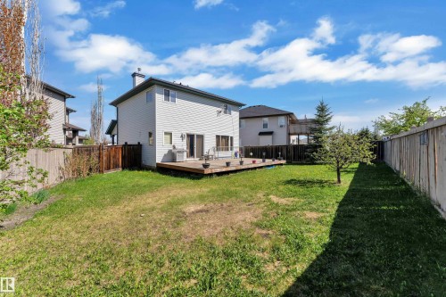 Spacious backyard featuring a large wood deck and a mature tree - 14031 136 Street, Edmonton, AB 