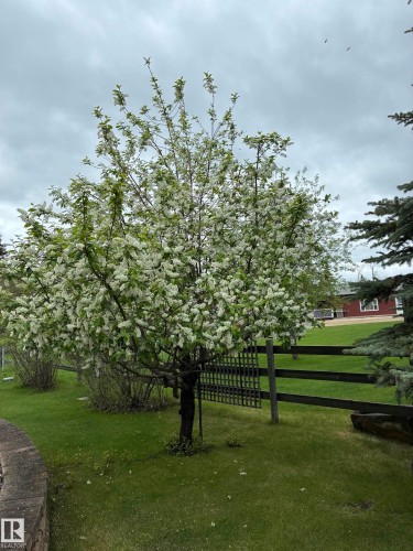 1649 Mcfarlane Pl, Rural Opportunity M.D., AB 