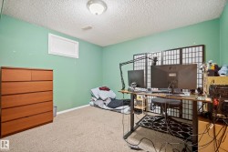 Carpeted interior room featuring light green walls and a white textured ceiling - 