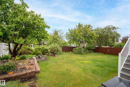 Expansive backyard featuring a lush lawn and mature trees - 15503 62 Street, Edmonton, AB 