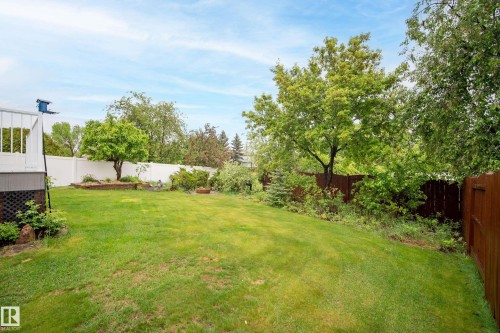 Expansive backyard featuring a large grass lawn, mature trees, and a privacy fence - 15503 62 Street, Edmonton, AB 