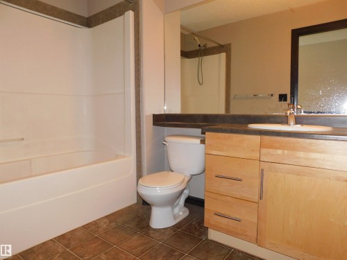 1239 Mckinney Crest, Edmonton, AB - Indoor Photo Showing Bathroom