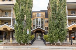 302 8730 82 Avenue Edmonton, AB T6C 0Z1