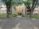 Outdoor building - 203 10171 119 Street, Edmonton, AB 
