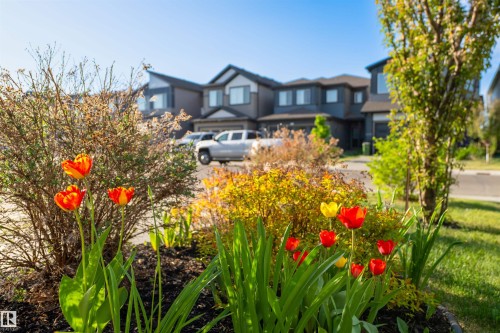 3318 Parker Loop, Edmonton, AB - Outdoor