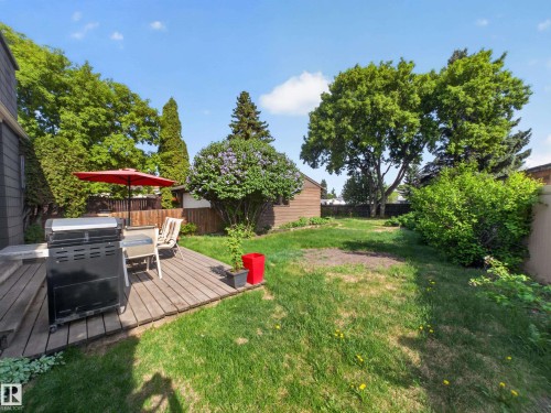 Expansive backyard featuring a wood-finish deck, mature trees, and a wooden fence - 18416 90 Avenue, Edmonton, AB 