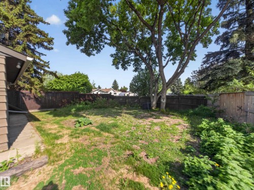 Expansive rear yard featuring mature trees, a perimeter privacy fence, and a partially visible residential structure - 18416 90 Avenue, Edmonton, AB 