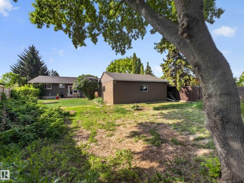 Spacious backyard featuring a detached accessory building, mature trees, a privacy fence, and a patio area - 18416 90 Avenue, Edmonton, AB 