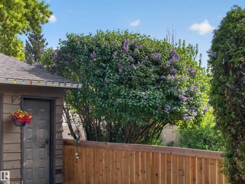 Image quality insufficient for description - 18416 90 Avenue, Edmonton, AB 
