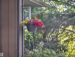 Vertical panel siding with dark trim accents - 