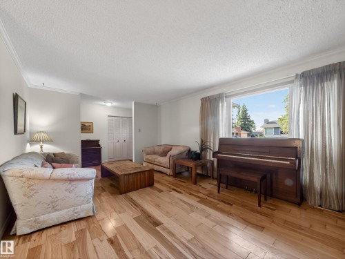 Bright living area featuring wood-finish flooring, a large window, white walls, crown molding, and a double bi-fold door - 18416 90 Avenue, Edmonton, AB 