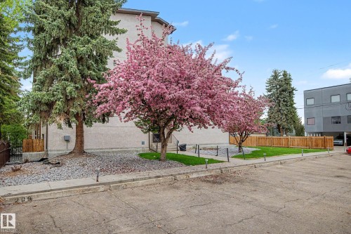 009 10520 80 Avenue, Edmonton, AB - Outdoor