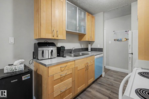 009 10520 80 Avenue, Edmonton, AB - Indoor Photo Showing Kitchen With Double Sink