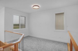 Carpeted room featuring a modern ceiling light fixture, white trim, and two windows - 