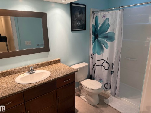 7028 174 Avenue, Edmonton, AB - Indoor Photo Showing Bathroom