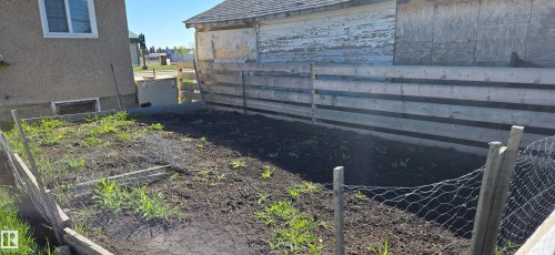 Garden area with tilled soil and early growth, featuring a chicken wire fence enclosure - Vegreville, AB - Outdoor