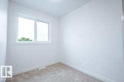 Bright room featuring a dual-pane window, neutral carpet flooring, white baseboards, and a ceiling light fixture - 
