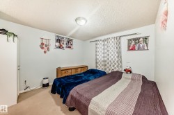 Carpeted room with light blue walls and a textured ceiling - 