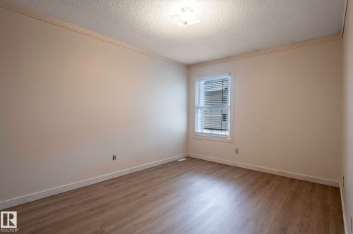 18439 66 Avenue, Edmonton, AB - Indoor Photo Showing Other Room