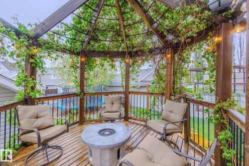 Expansive wood-finish deck featuring a built-in pergola with climbing vines and string lighting - 7207 14A Avenue, Edmonton, AB - Outdoor With Deck Patio Veranda With Exterior