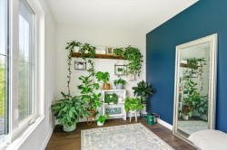 Room featuring a large white-framed window, dark wood-finish flooring, and a striking accent wall - 
