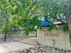 206 11415 100 Avenue  Edmonton, AB T5K 0J5